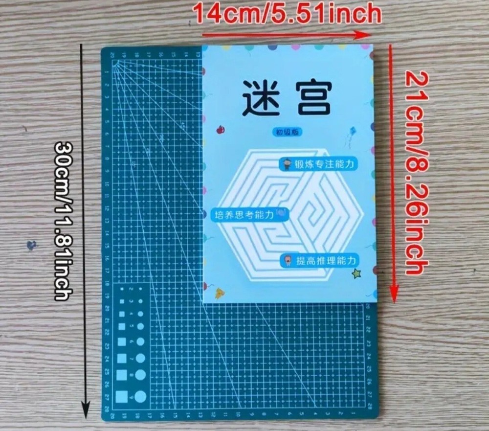 192 Patterns Concentration Maze Training Book, Student Thinking Development...