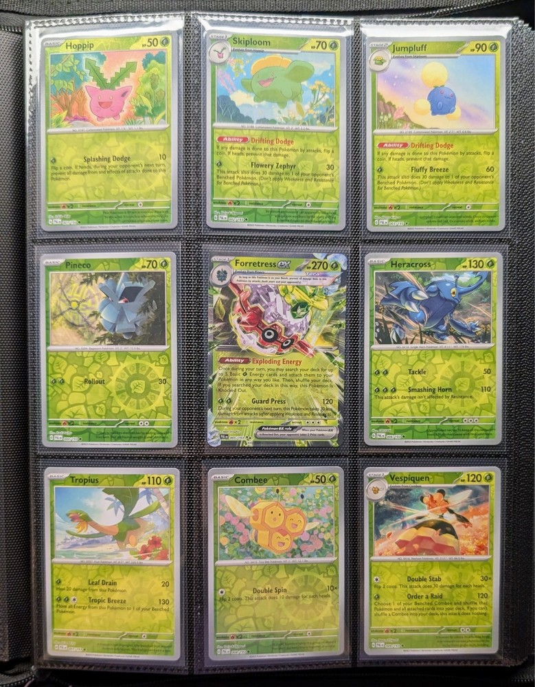 Pokémon Paldea Evolved Master Set