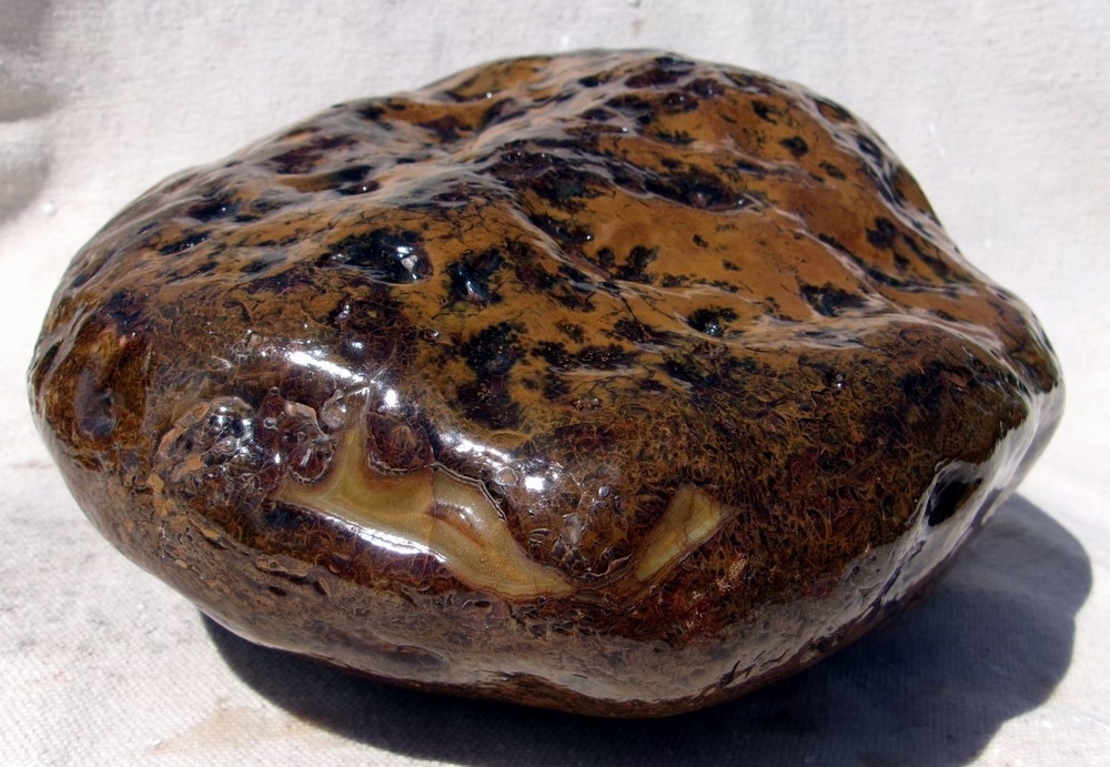 Brazil Agate Rough 19 Lbs. 15 oz.