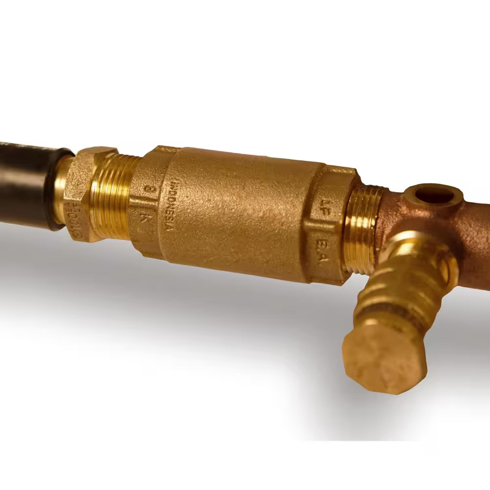 1 In. Brass Check Valve