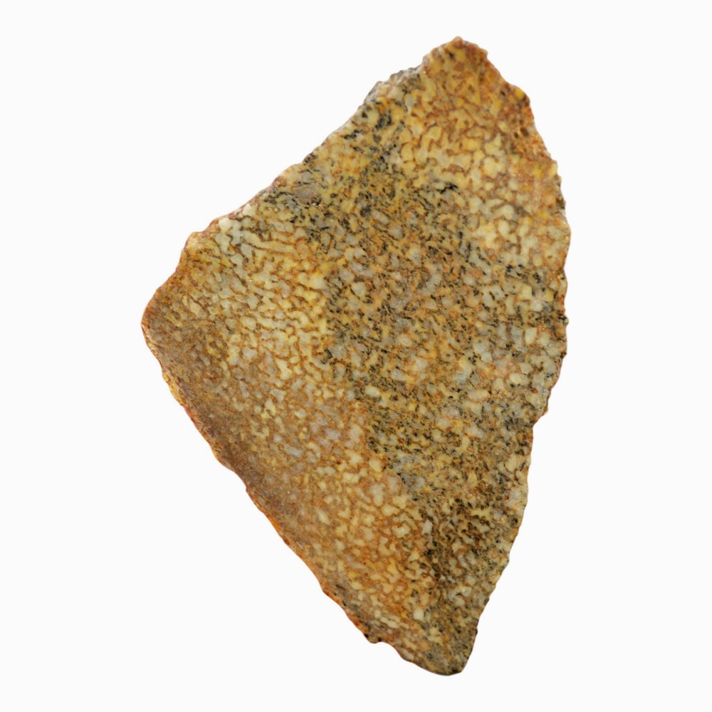 Gem Dinosaur Bone Slab - Well-Defined Cell Pattern