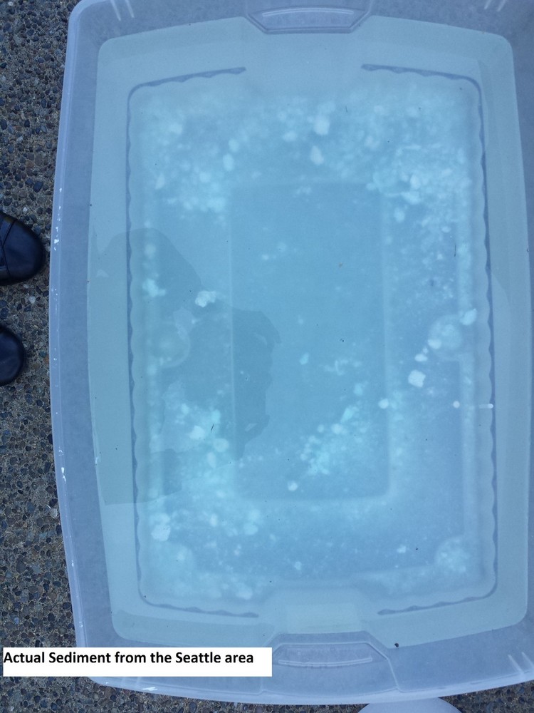 Brass Water Heater Drain Valve--LOOK at my insides!!!!