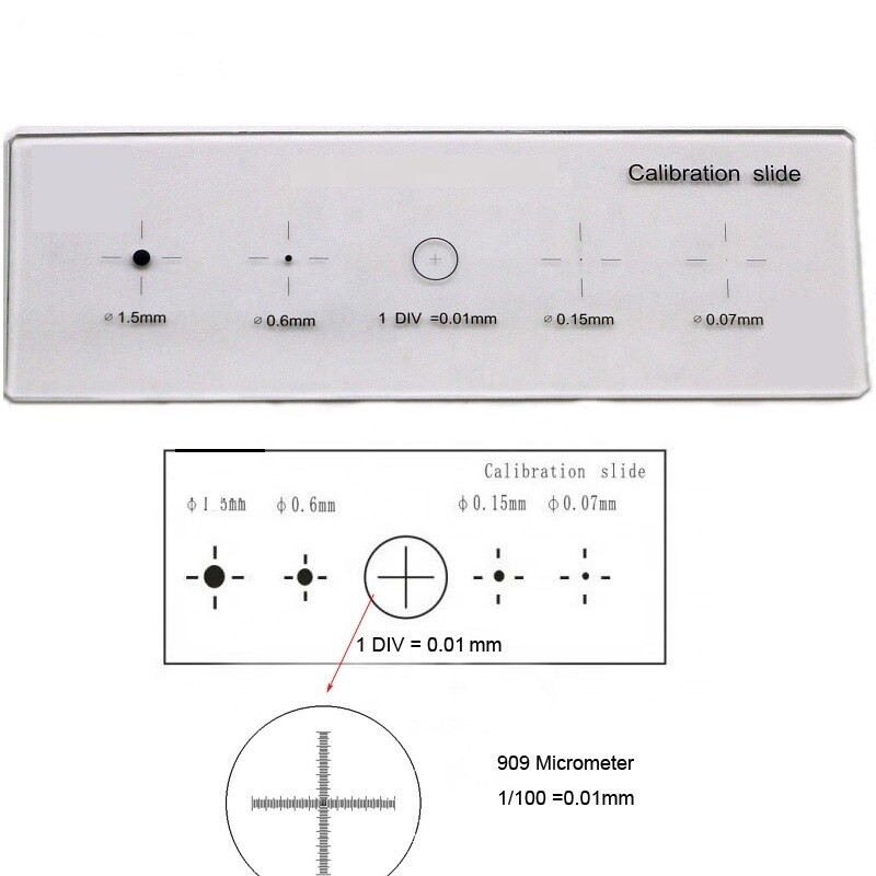 Microscope Stage Micrometer Calibration Slide, 5-Scales, 0.01mm Line Resolution