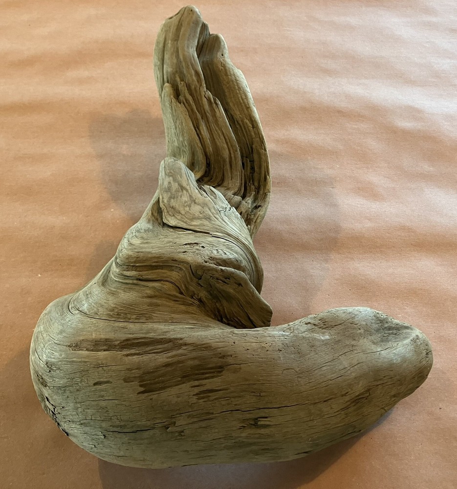 Beautiful Driftwood