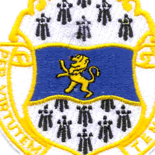 313th Airborne Field Artillery Battalion patch