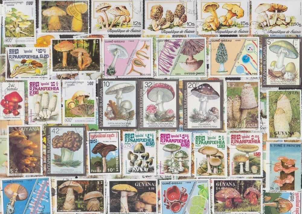 200 All Different MUSHROOMS on Stamps