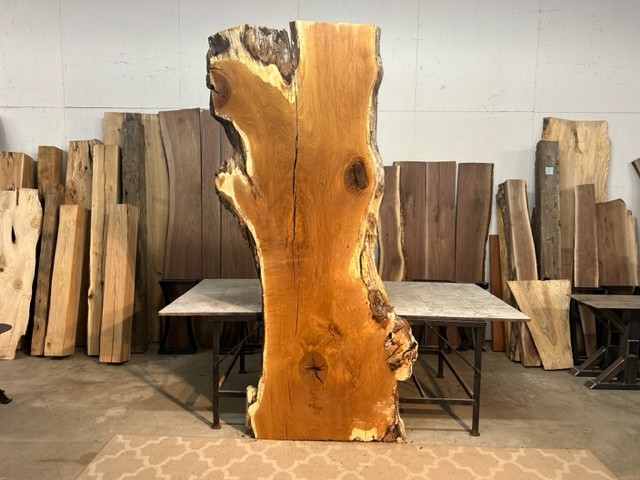 HUGE OAK CONFERENCE/DINING TABLE SLAB/SOLID WHITE OAK WOOD SLAB/DINING TABLE