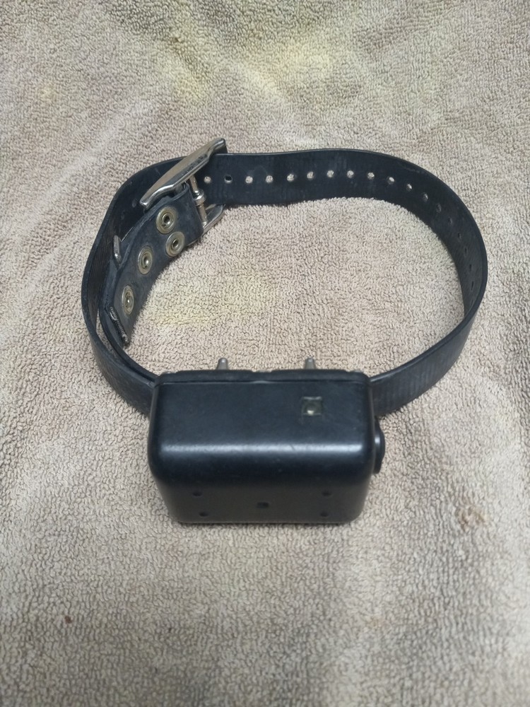Unknown Brand - Big Dog Shock Collar - Works