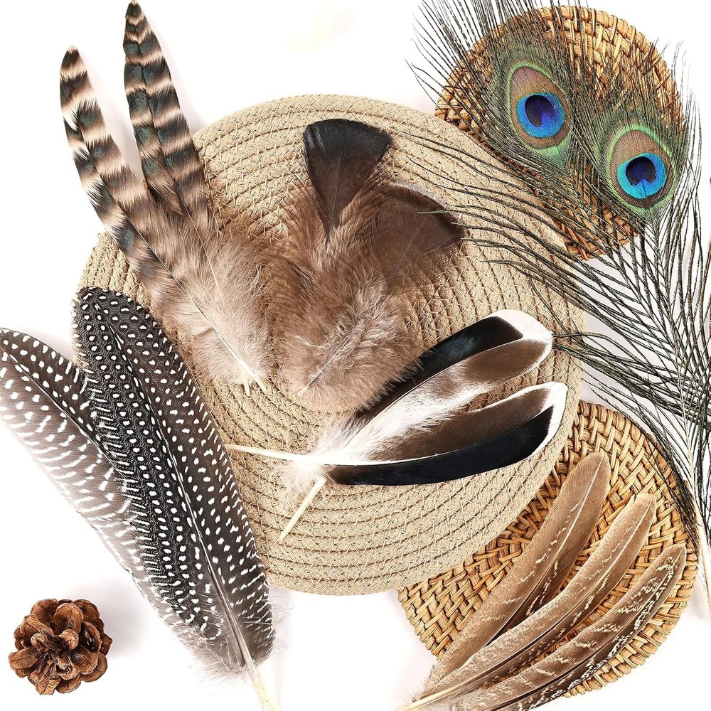 Natural Feathers Bulk - 55PCS - 6 Styles Assorted Feathers, 6