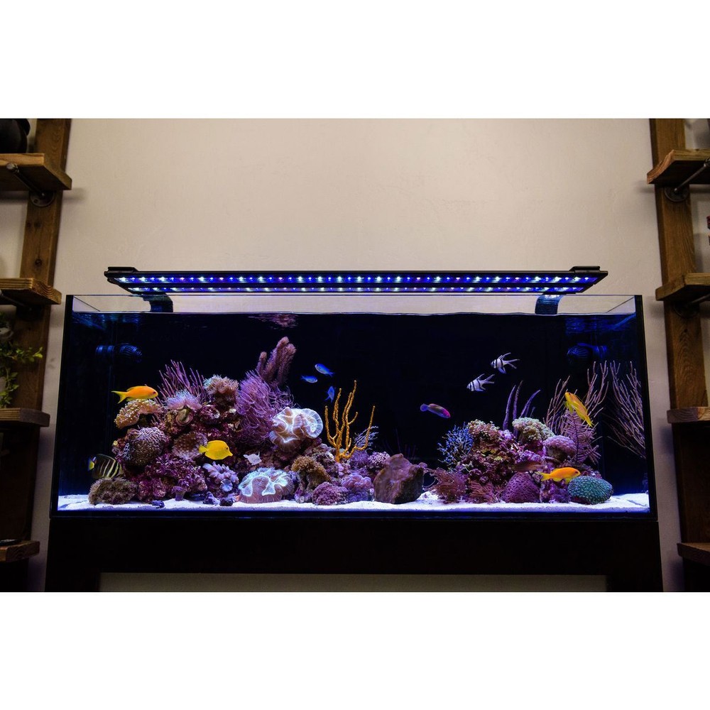 Orbit Marine 36"- 48" Bluetooth IC LOOP PRO Dual LED System (4336) - Current USA