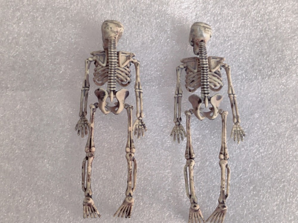 Halloween Skeleton Pair Props (Plastic)