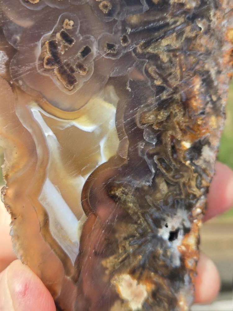 Turkish Agate Slab Slice Lapidary Unique
