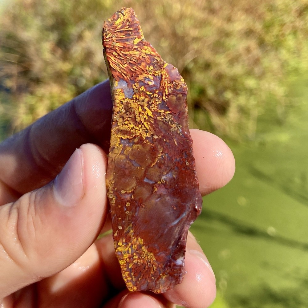 Sagenite Agate End Cut Vibrant!