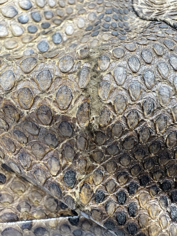 ADRIANA CASTRO PYTHON SNAKESKIN HOBO TOTE SHOULDER HANDBAG