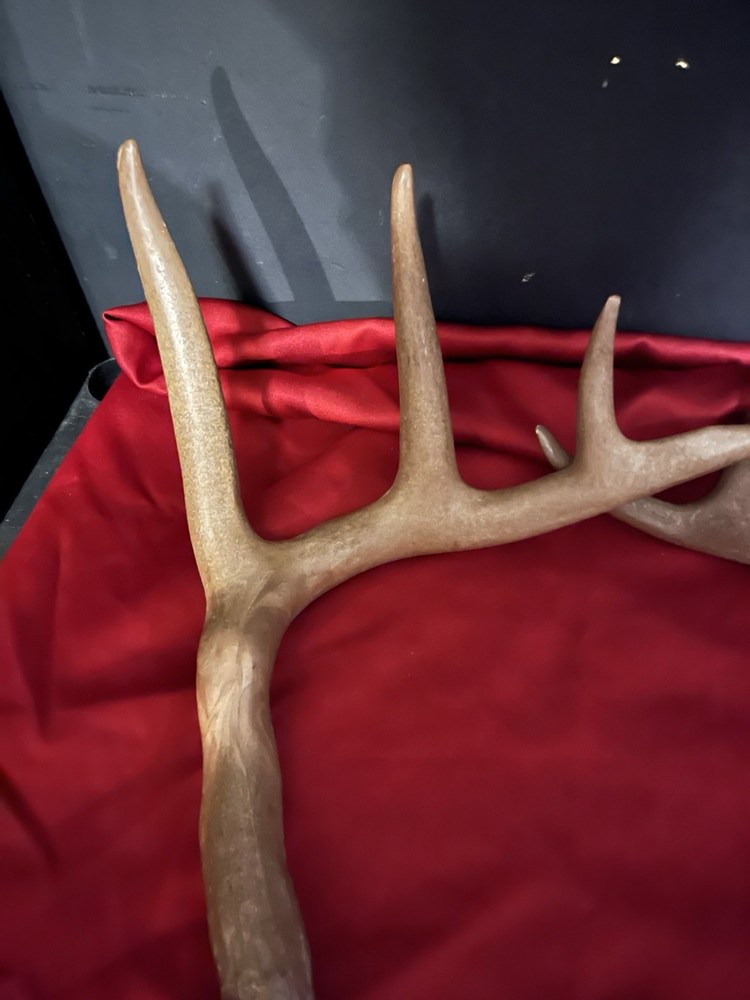 Faux Deer Antlers