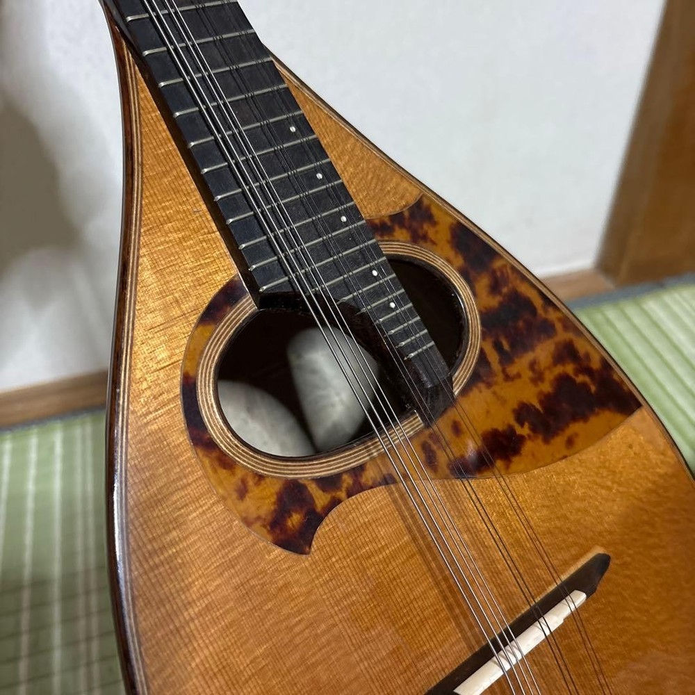 Raffaele Terada Musical Instruments High End Mandolin RM-3 String Guitar