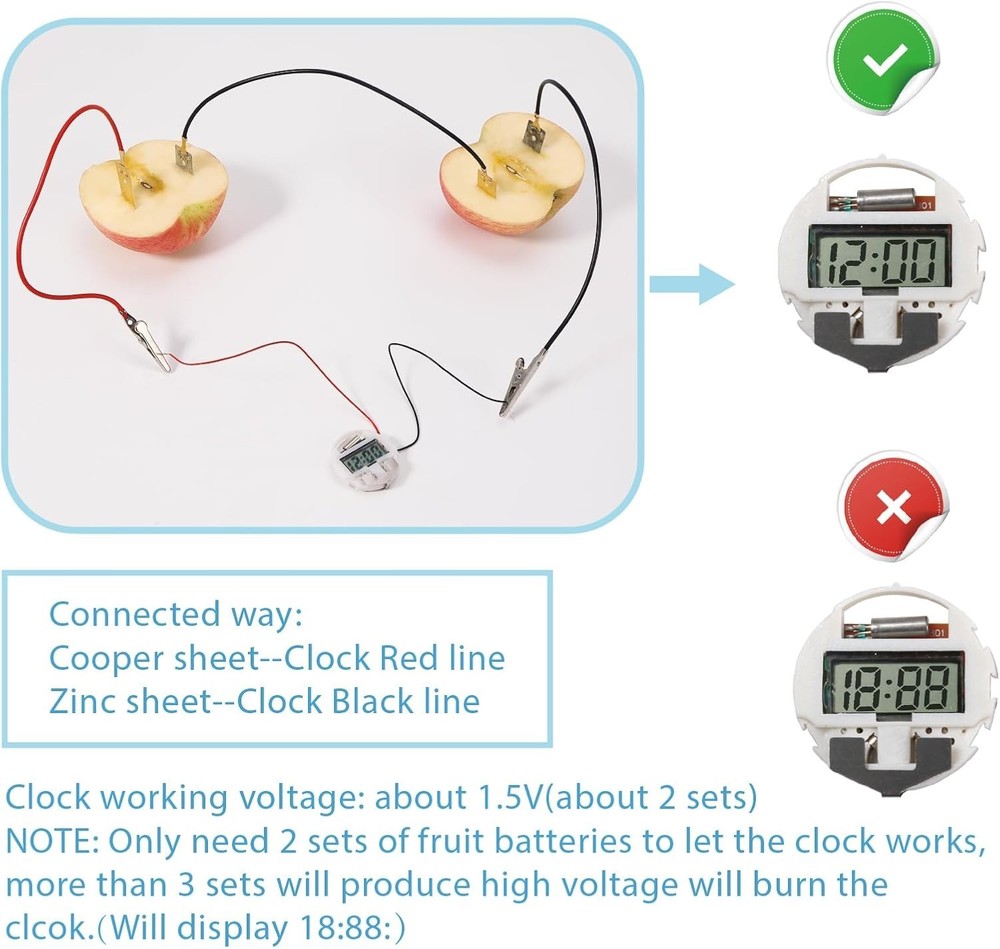 Fruit Battery Science Experiment Kit with Instruction, Potato Science Educationa