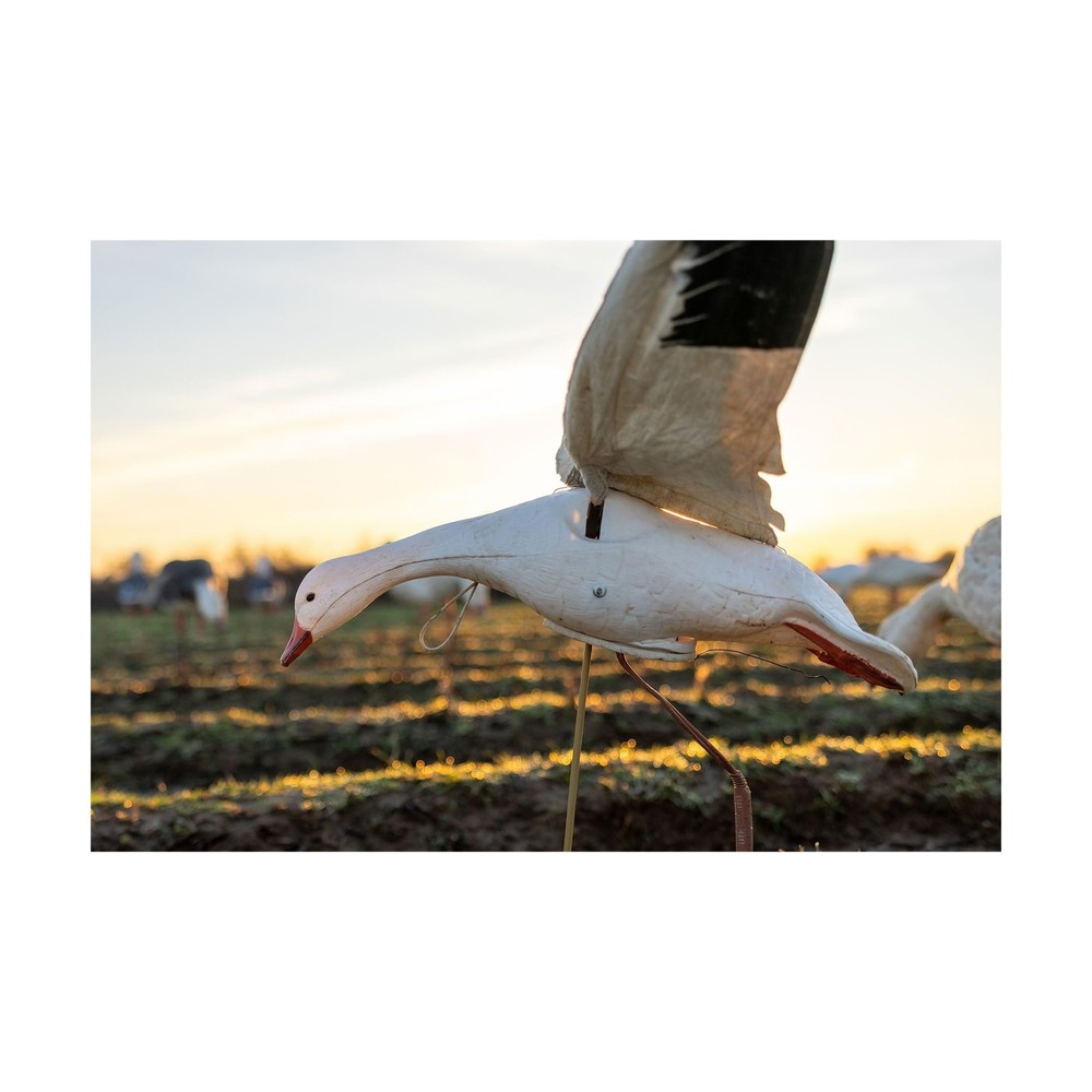 Higdon Outdoors Clone Snow Goose Flapping Motion Decoy with Adjustable Wing S...