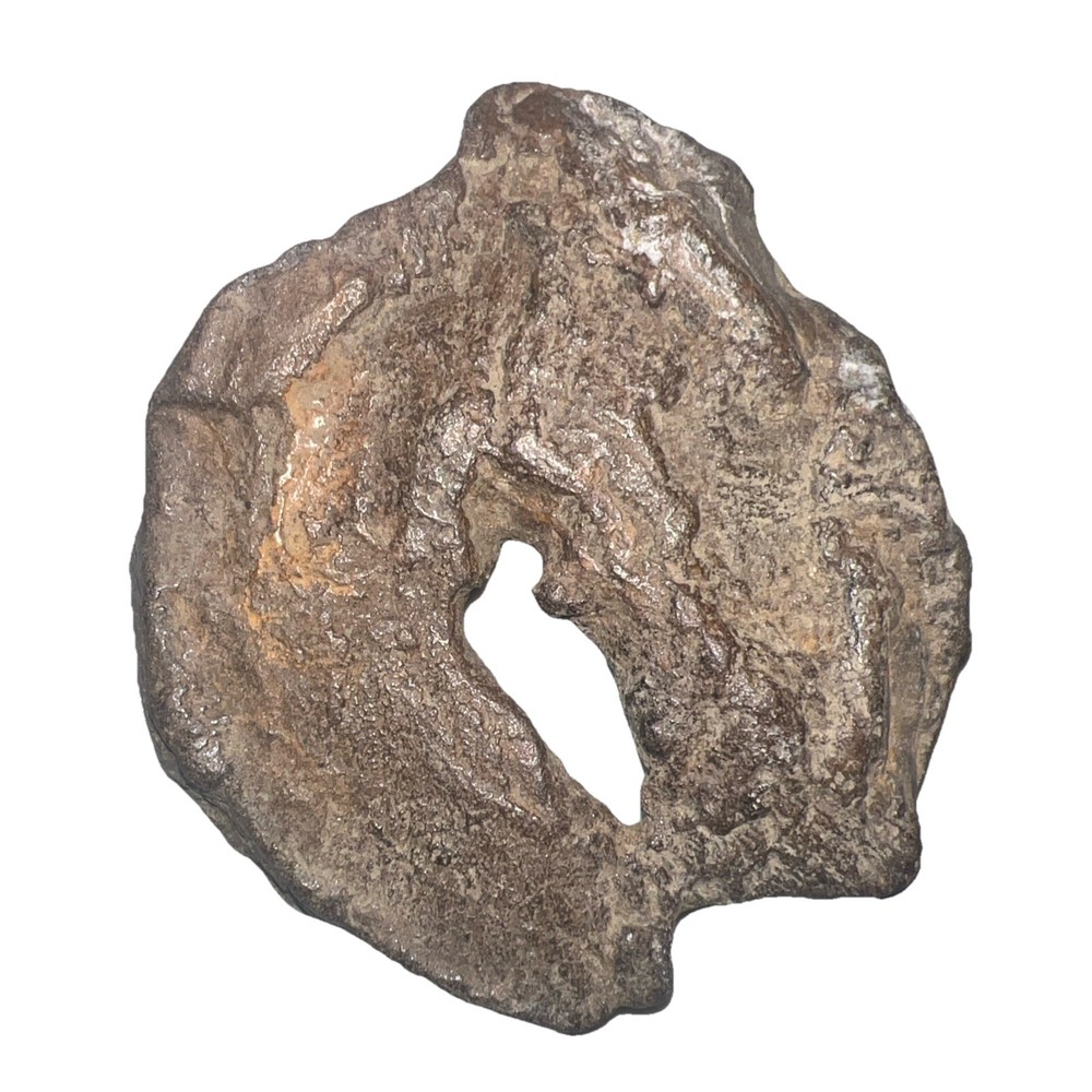 Natural hag stone 8.0 oz.