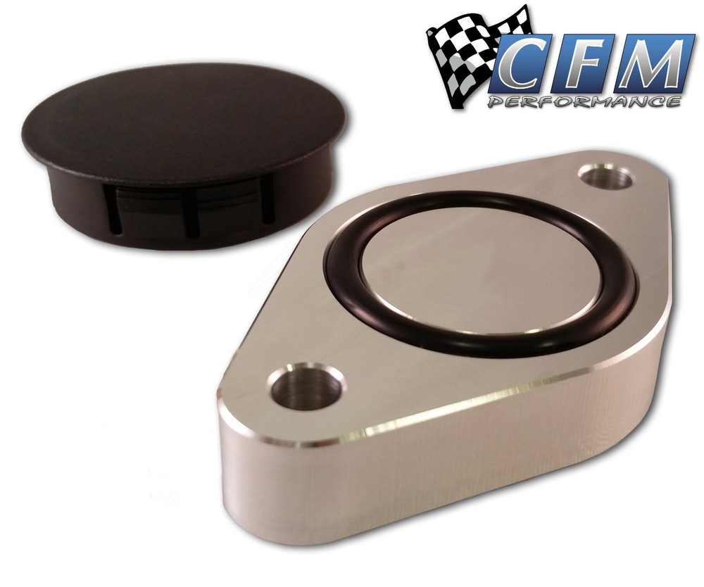 CFM Performance Sound Symposer Delete 2013-2018 Focus ST ST250