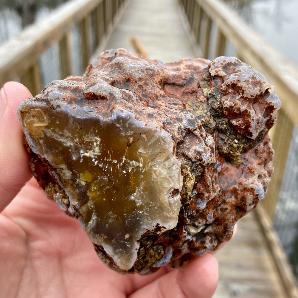 Gorgeous Yellow Agate Raw Lapidary Agate 1 Pound!