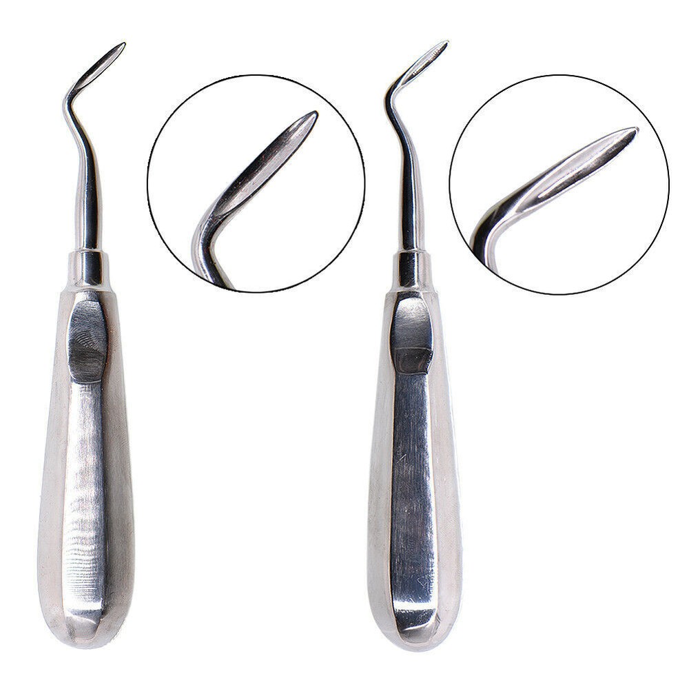 10 Pcs Dental Root Luxating Elevators Extraction Surgical Luxator Instrument
