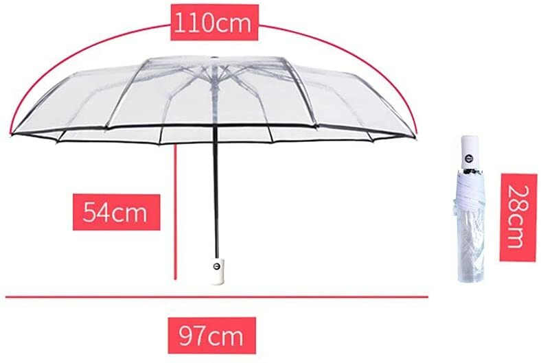 Umbrella