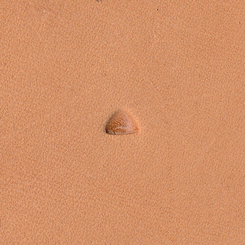 Figure Carving F895 Leather Stamp