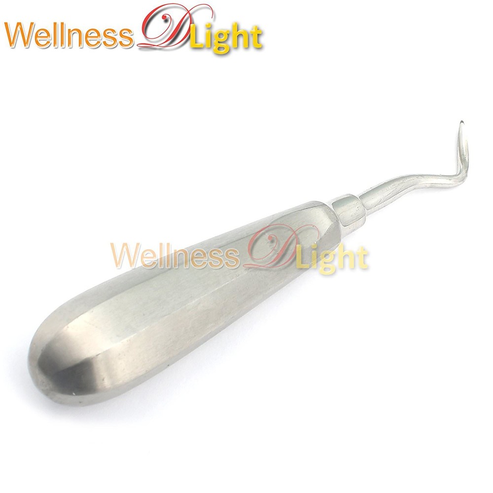WDL NEW ROOT ELEVATOR 3F FLOHR DENTAL INSTRUMENTS