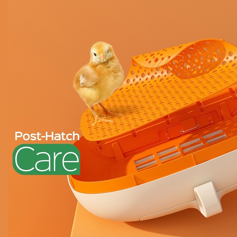 Chickcozy 25 Egg Incubator Automatic Turner Temperature Control w/ Box