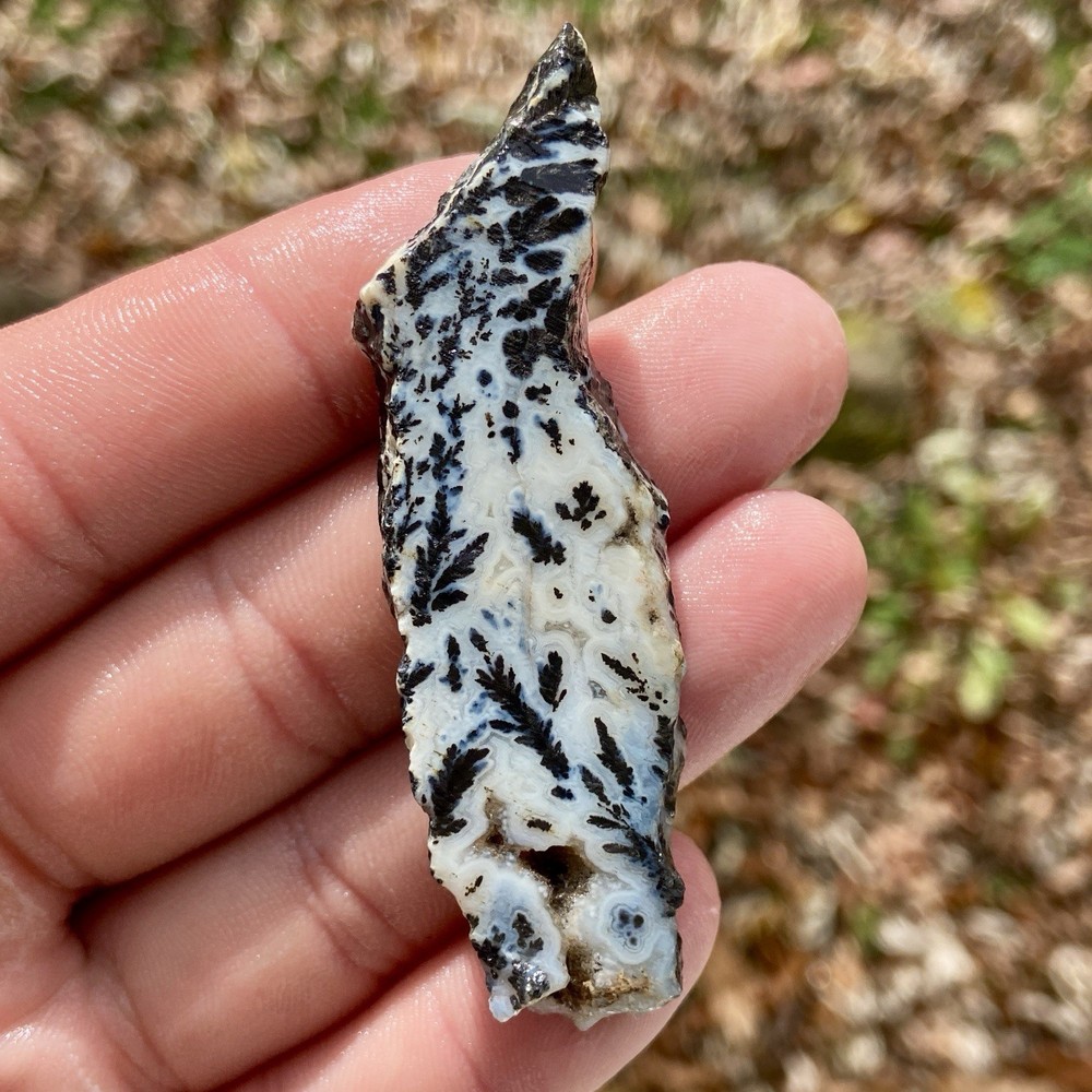Medicine Bow Dendritic Agate Rough Slab