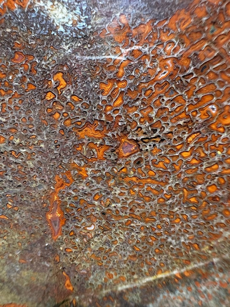 Dinosaur bone rough **hxtled large slab.