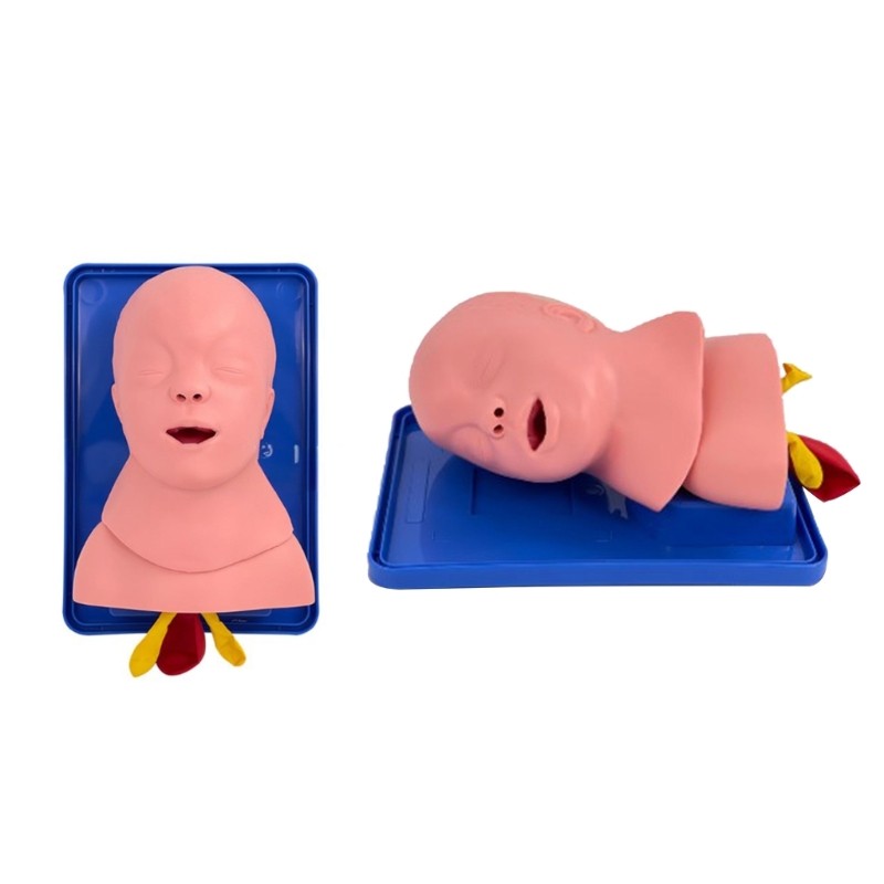 Infant Intubation Training Model for Training Institutions