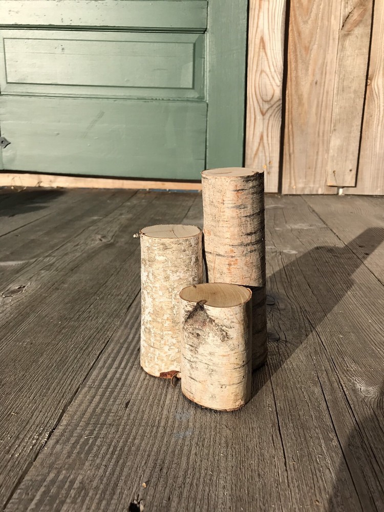 Birch Log Triptych, White Birch Logs, 3-7 Inches Long