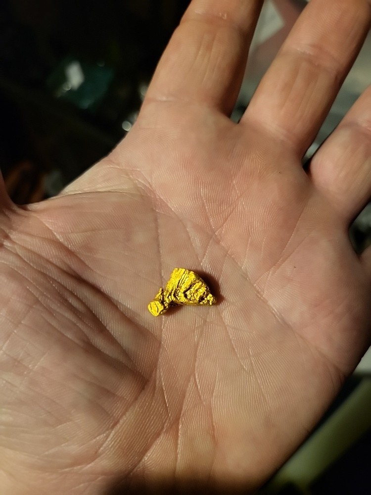 Gold Nugget