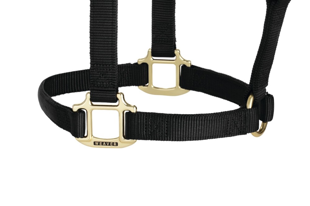 Original Non-Adjustable Halter , 1" Black