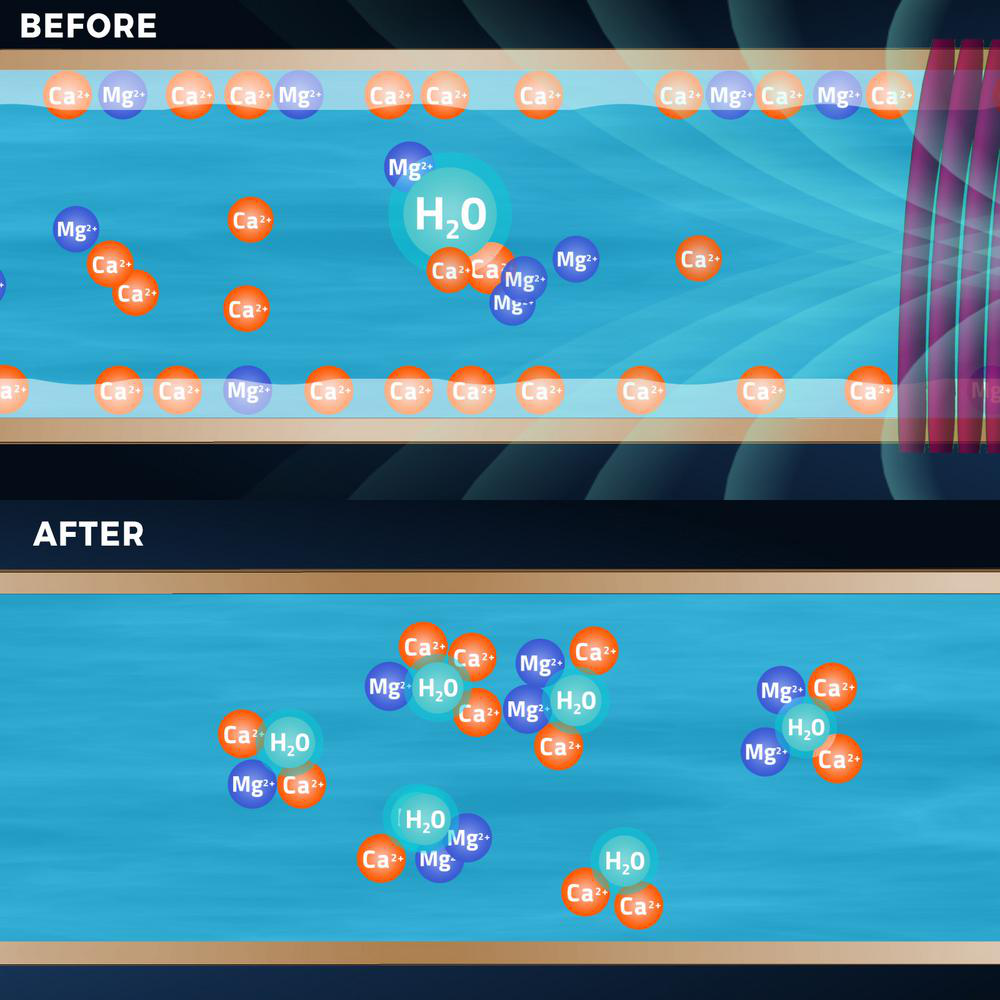 ED2021 Whole House Water Descaler Alternative Electronic Saltfree Hard Water