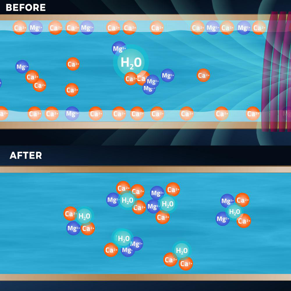 Electronic Water Descaler - Reduce Limescale & Rust