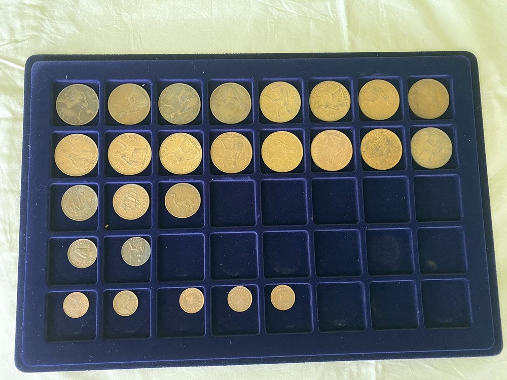 Large coin collection in case