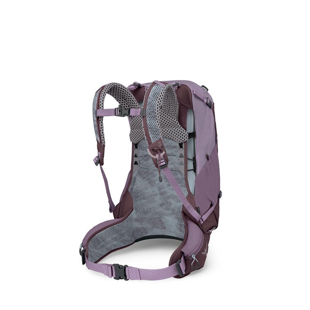 Osprey Packs Sirrus 24L Backpack - Women's