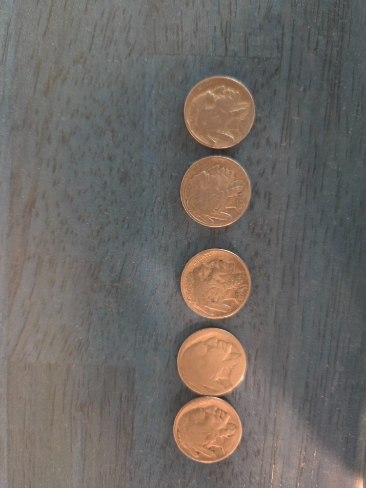 Buffalo Nickel no dates readable for craft