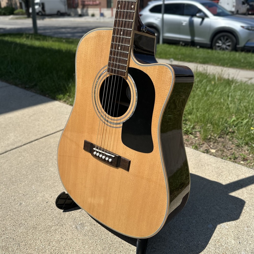 Washburn D10SCE DLK w/ case