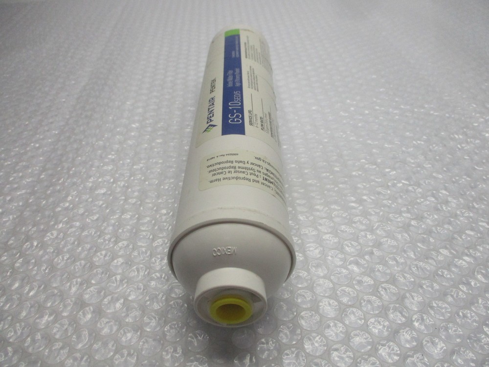 PENTAIR GS-10 FILTER NSNP