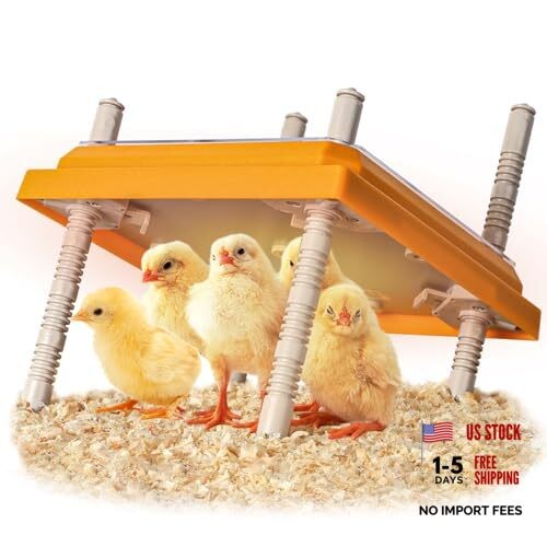 Brooder Heater for Chicks, 10" x 10" for 15 Chicks Heating Plate with 1Pack