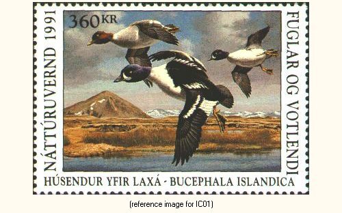 D2K Iceland Duck Stamp 1991 360kr