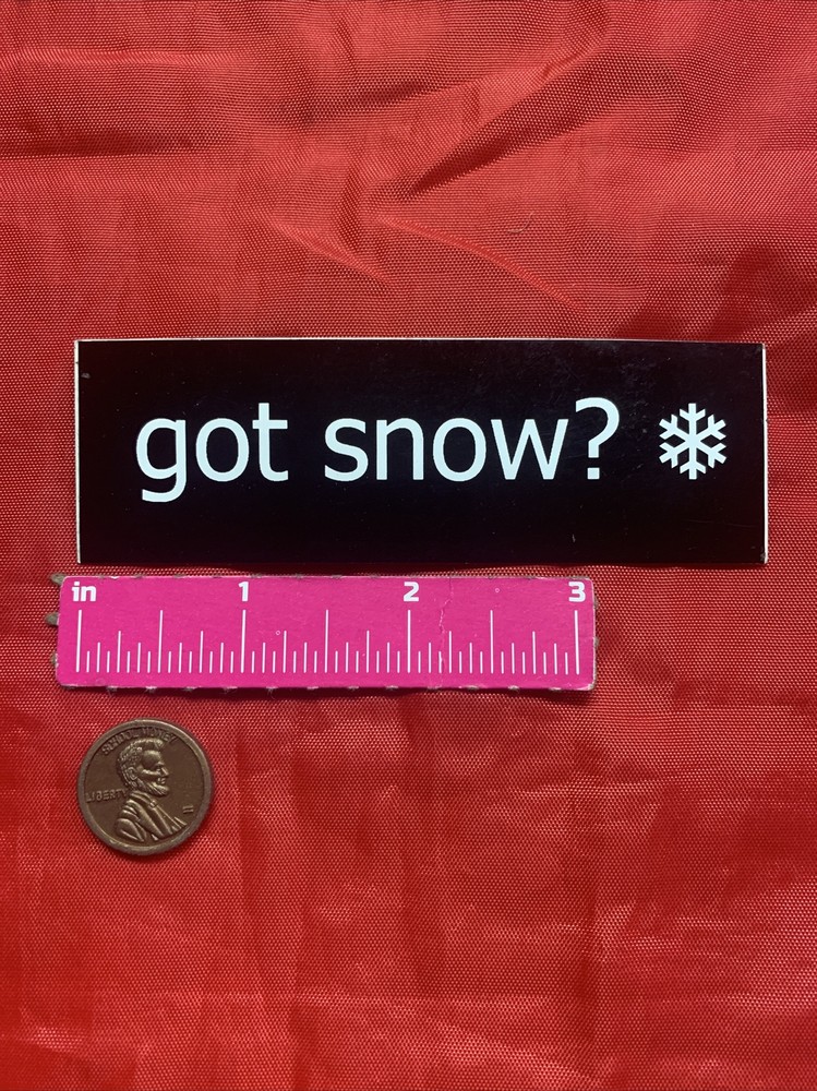Got Snow? Snowflake Sticker