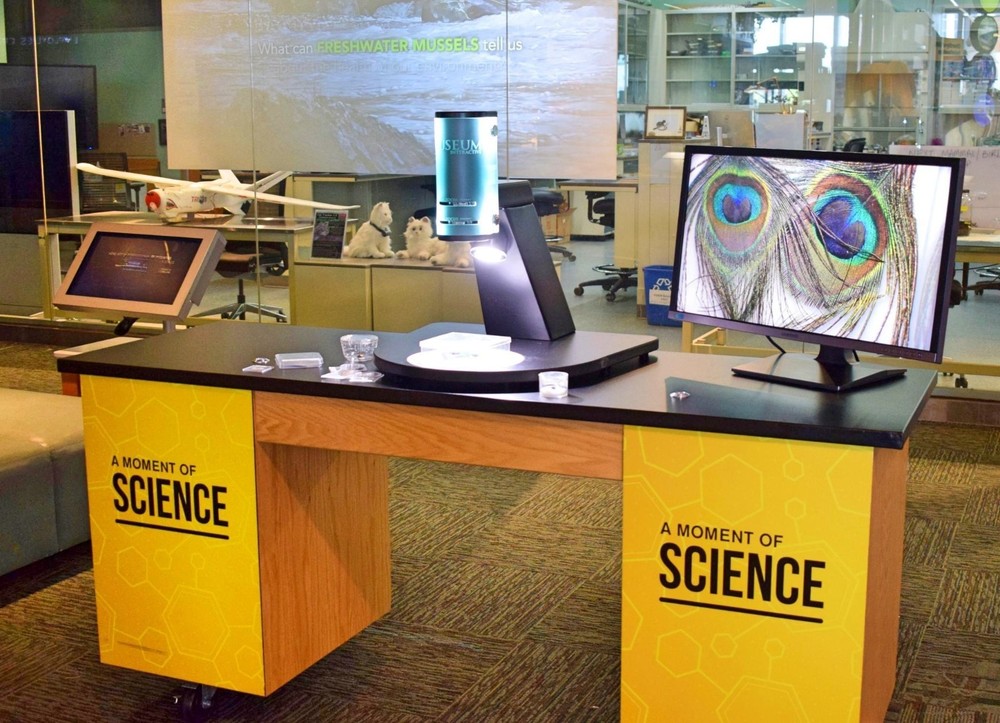 VIP Digital Microscope for Museums, Conservancies, STEM, etc.