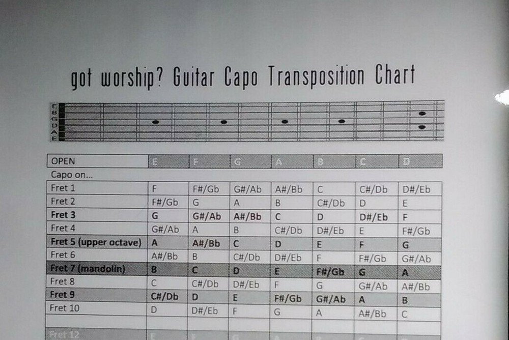 Guitar Capo Transposition  Chart ~ 5 mil Laminated ~ FREE Shipping ~