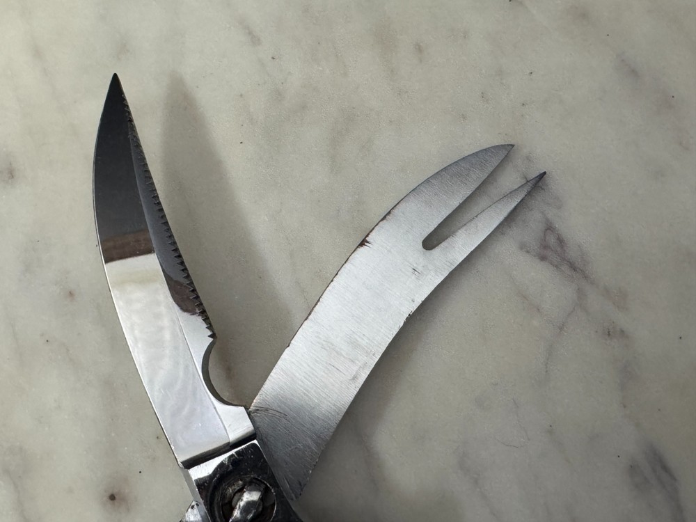Custom German Stainless Kitchen Poultry Shears Stag Handle, Fork Tip, Take-Apart