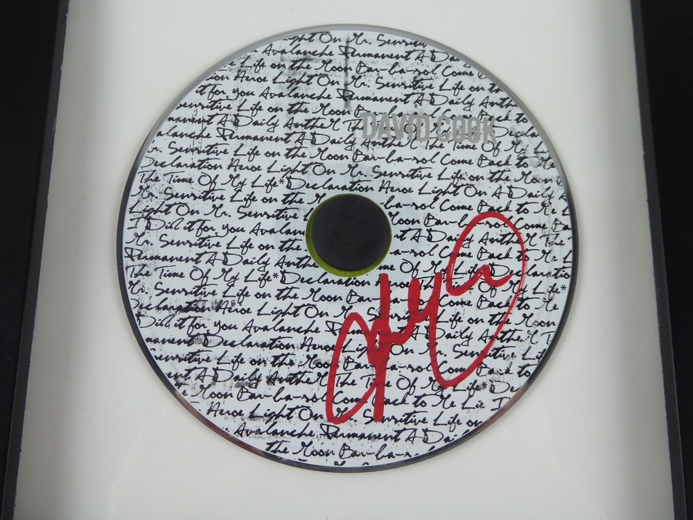 David Cook Signed Autographed Framed Display Matted CD W/Cover